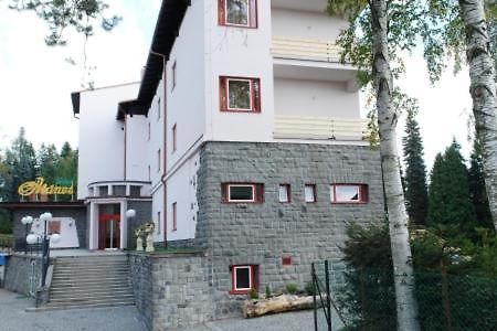 Hotel Manes Svratka Экстерьер фото