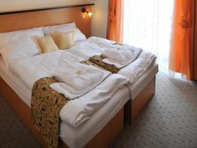 Hotel Manes Svratka Экстерьер фото